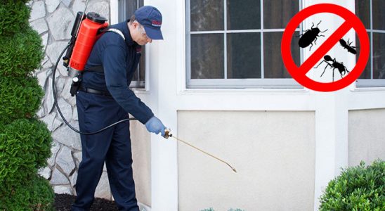 Çerkezköy Hamam Böceği İlaçlama böcek ilaçlama ve haşere kontrolü — ilaclama-tr.com